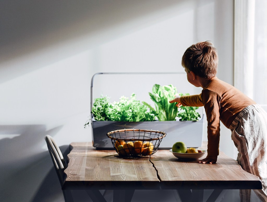 Idées-cadeaux pour jardiniers et amateurs de plantes - IKEA CA