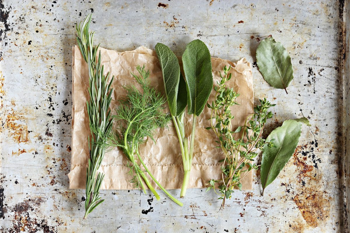 Mes conseils pour cultiver vos herbes de Provence Recto & Verso