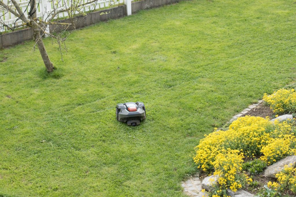 robot tondeuse jardin