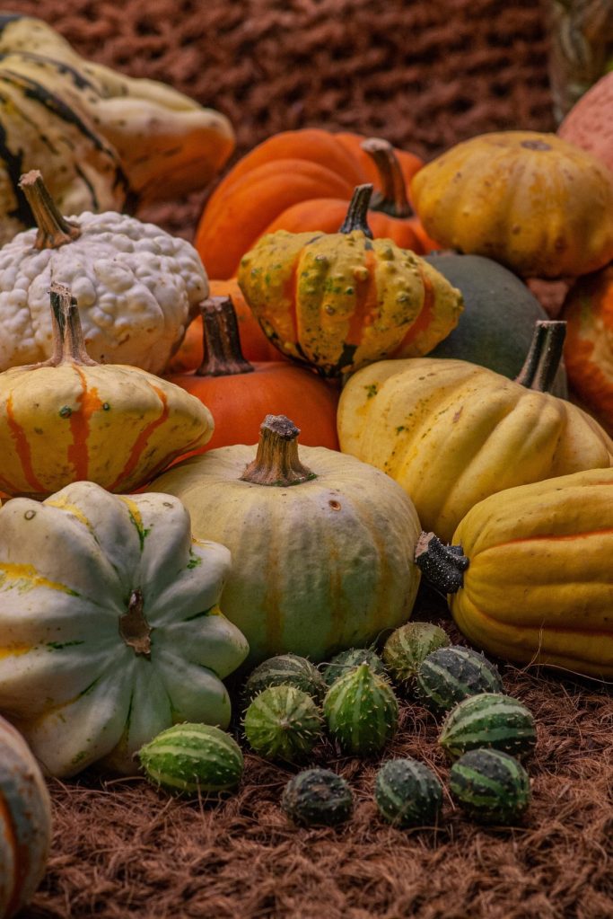 légumes d'automne