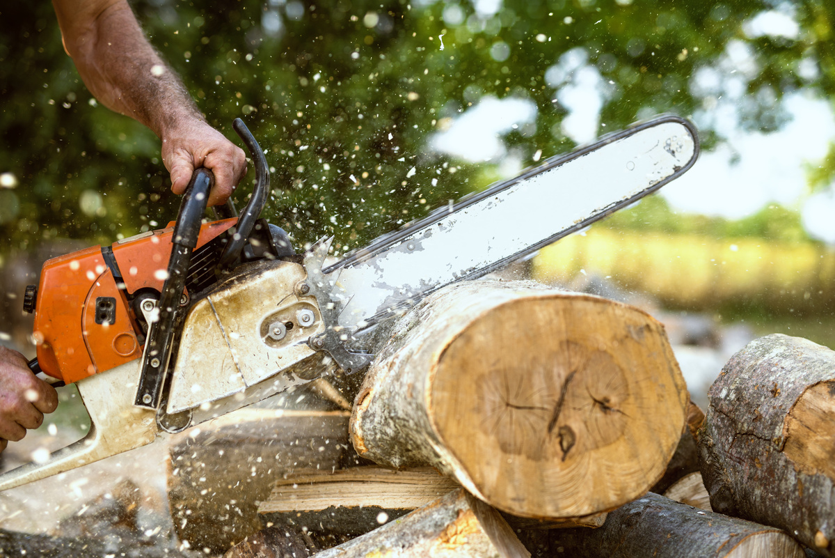 Tout savoir sur les outils de bucheronnage | Recto & Verso