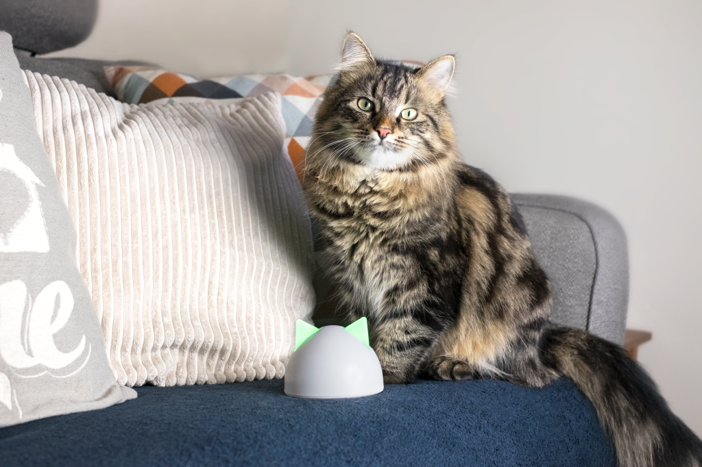 chatière connectée avec un chat tigré sur un canapé