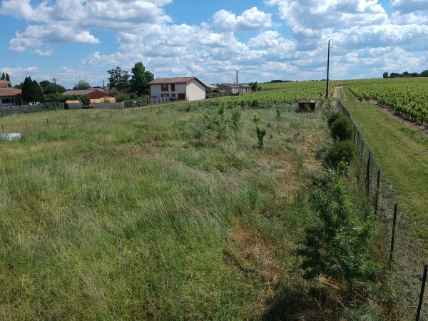 jardin maison bioclimatique