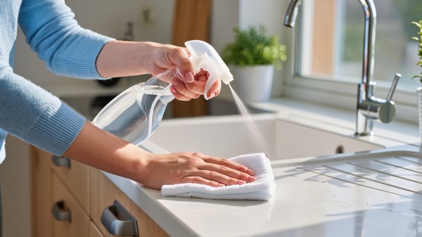 comment se débarasser des mouches