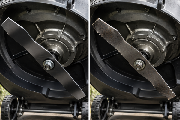 Comparaison entre une lame de tondeuse bien affûtée et une lame usée avec de légères marques